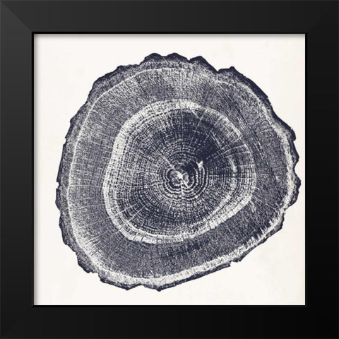 Tree Ring III Black Modern Wood Framed Art Print by Vision Studio