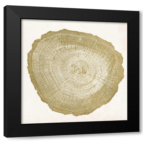 Tree Ring IV Black Modern Wood Framed Art Print with Double Matting by Vision Studio