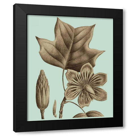 Flowering Trees I Black Modern Wood Framed Art Print with Double Matting by Vision Studio