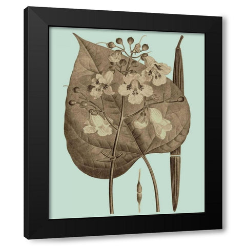 Flowering Trees II Black Modern Wood Framed Art Print with Double Matting by Vision Studio