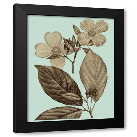 Flowering Trees III Black Modern Wood Framed Art Print with Double Matting by Vision Studio