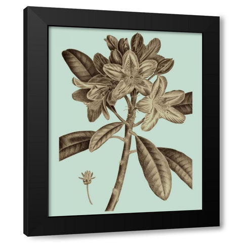 Flowering Trees IV Black Modern Wood Framed Art Print with Double Matting by Vision Studio