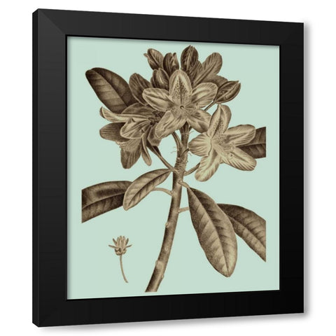 Flowering Trees IV Black Modern Wood Framed Art Print by Vision Studio