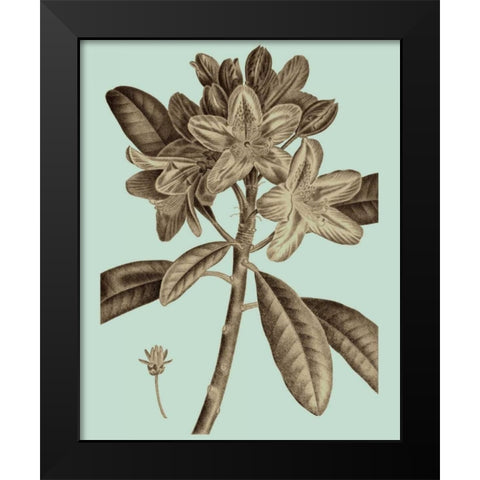 Flowering Trees IV Black Modern Wood Framed Art Print by Vision Studio