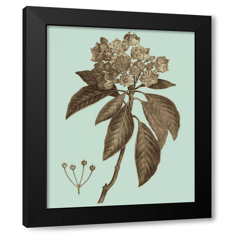 Flowering Trees V Black Modern Wood Framed Art Print with Double Matting by Vision Studio