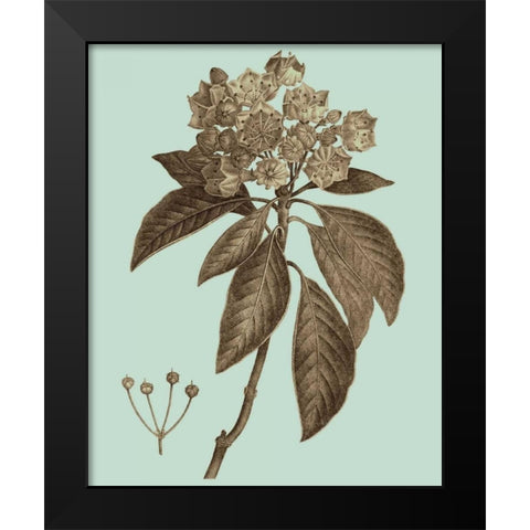 Flowering Trees V Black Modern Wood Framed Art Print by Vision Studio