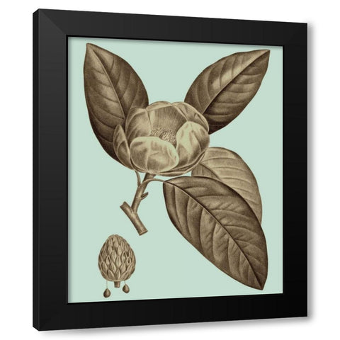 Flowering Trees VI Black Modern Wood Framed Art Print with Double Matting by Vision Studio