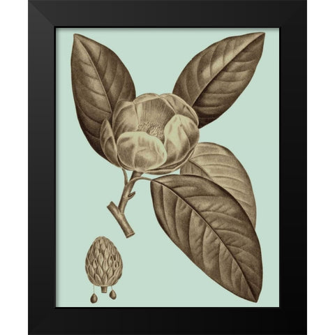 Flowering Trees VI Black Modern Wood Framed Art Print by Vision Studio