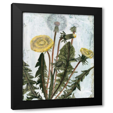 Dandelion Patina II Black Modern Wood Framed Art Print by McCavitt, Naomi
