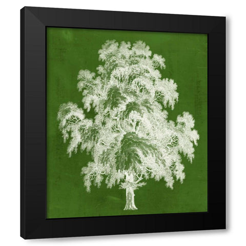 Modern Arbor II Black Modern Wood Framed Art Print with Double Matting by Vision Studio