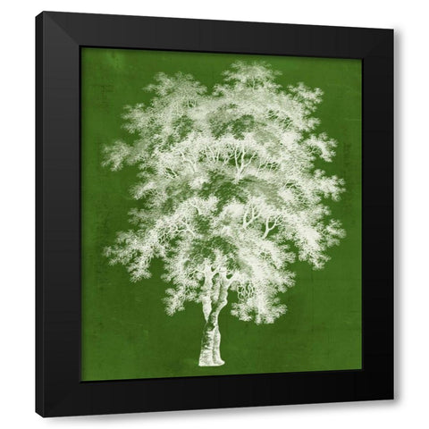 Modern Arbor III Black Modern Wood Framed Art Print by Vision Studio