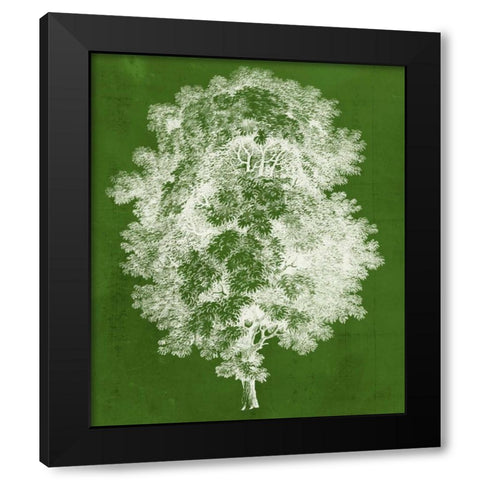 Modern Arbor IV Black Modern Wood Framed Art Print with Double Matting by Vision Studio