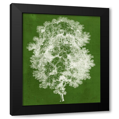 Modern Arbor IV Black Modern Wood Framed Art Print by Vision Studio
