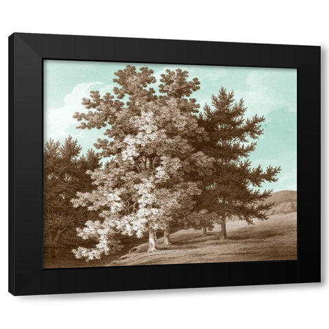 Serene Trees I Black Modern Wood Framed Art Print by Kennion, Edward
