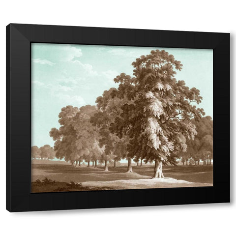 Serene Trees II Black Modern Wood Framed Art Print with Double Matting by Kennion, Edward