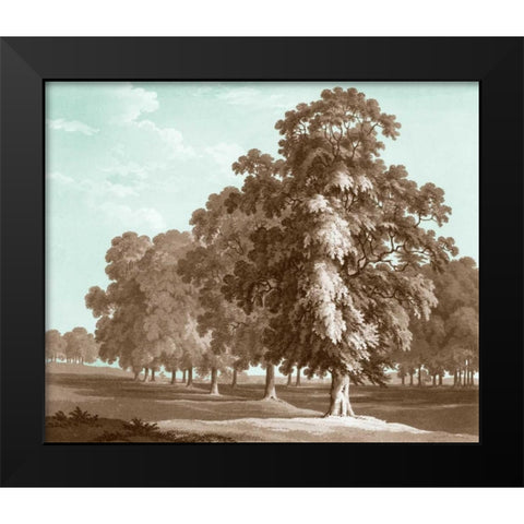 Serene Trees II Black Modern Wood Framed Art Print by Kennion, Edward