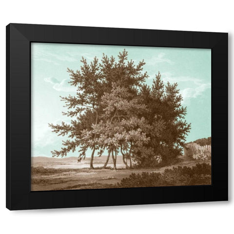 Serene Trees IV Black Modern Wood Framed Art Print with Double Matting by Kennion, Edward