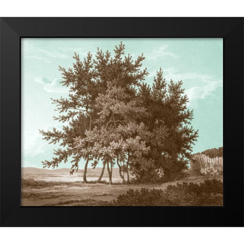 Serene Trees IV Black Modern Wood Framed Art Print by Kennion, Edward