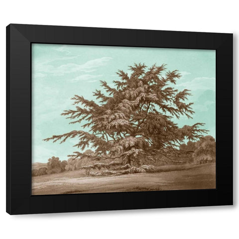 Serene Trees VI Black Modern Wood Framed Art Print with Double Matting by Kennion, Edward