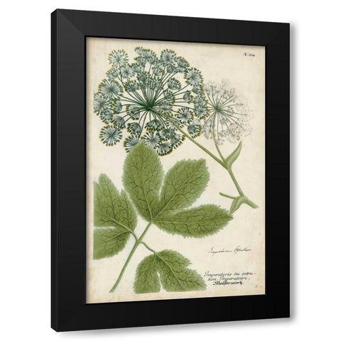 Queen Annes Lace Black Modern Wood Framed Art Print by Weinmann