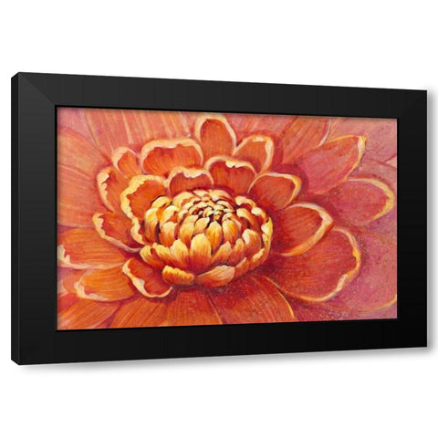 Micro Floral II Black Modern Wood Framed Art Print with Double Matting by OToole, Tim