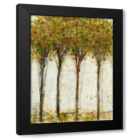 Apple Orchard I Black Modern Wood Framed Art Print with Double Matting by OToole, Tim