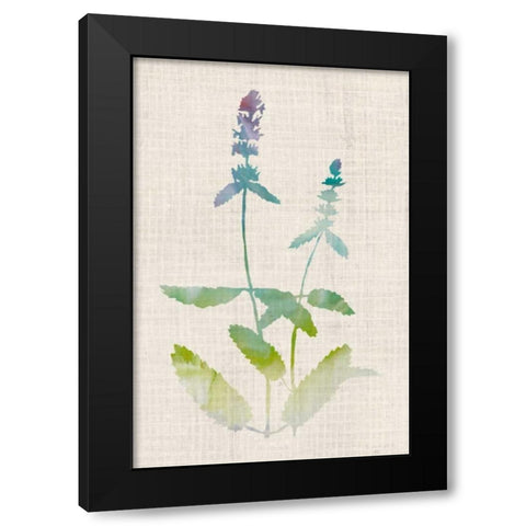 Watercolor Plants IV Black Modern Wood Framed Art Print with Double Matting by McCavitt, Naomi