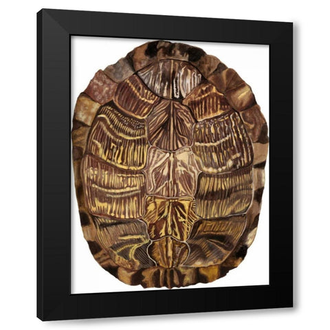 Tortoise Shell Detail I Black Modern Wood Framed Art Print with Double Matting by McCavitt, Naomi