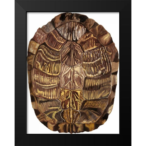 Tortoise Shell Detail I Black Modern Wood Framed Art Print by McCavitt, Naomi