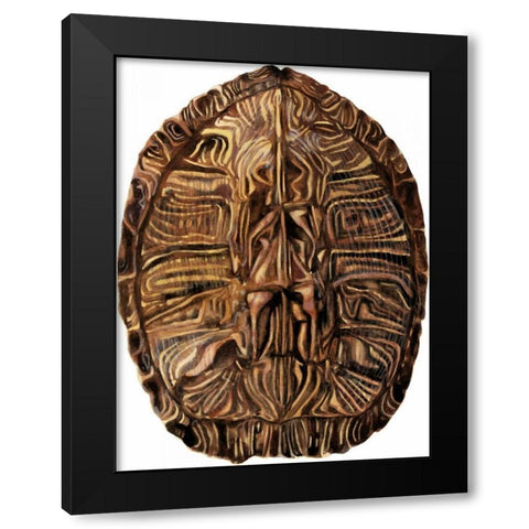 Tortoise Shell Detail II Black Modern Wood Framed Art Print with Double Matting by McCavitt, Naomi