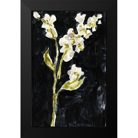 Midnight Phlox II Black Modern Wood Framed Art Print by Goldberger, Jennifer