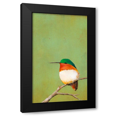 Perch III Black Modern Wood Framed Art Print by Altug, Mehmet