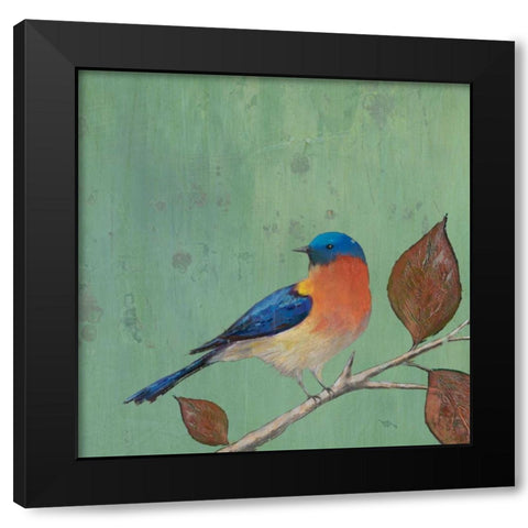 Resting Bird II Black Modern Wood Framed Art Print with Double Matting by Altug, Mehmet