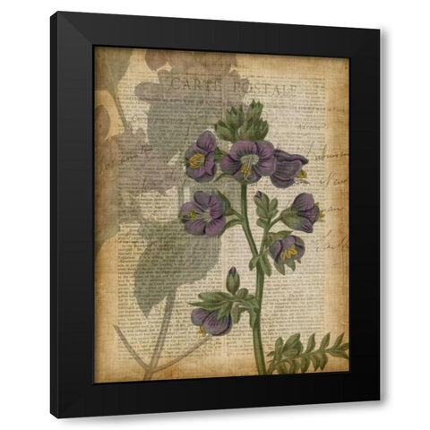 Fuchsia Flowers I Black Modern Wood Framed Art Print with Double Matting by Studio W