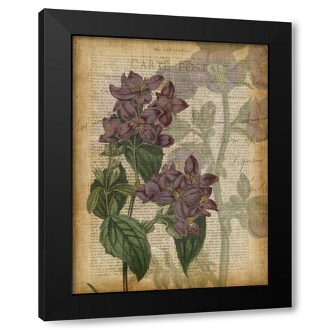 Fuchsia Flowers II Black Modern Wood Framed Art Print by Studio W