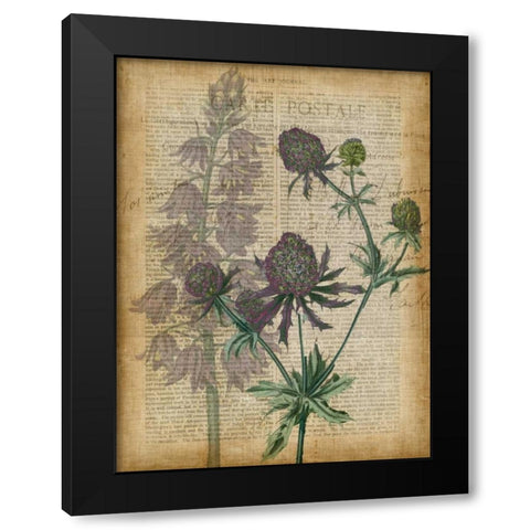 Fuchsia Flowers III Black Modern Wood Framed Art Print by Studio W