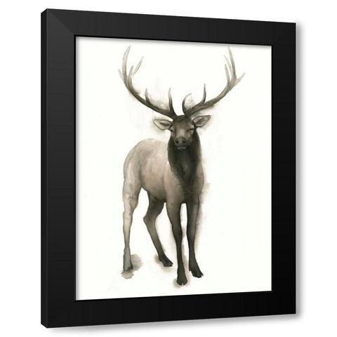 Majestic Wildlife II Black Modern Wood Framed Art Print with Double Matting by Popp, Grace