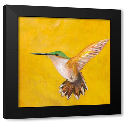 Sweet Hummingbird II Black Modern Wood Framed Art Print with Double Matting by Altug, Mehmet