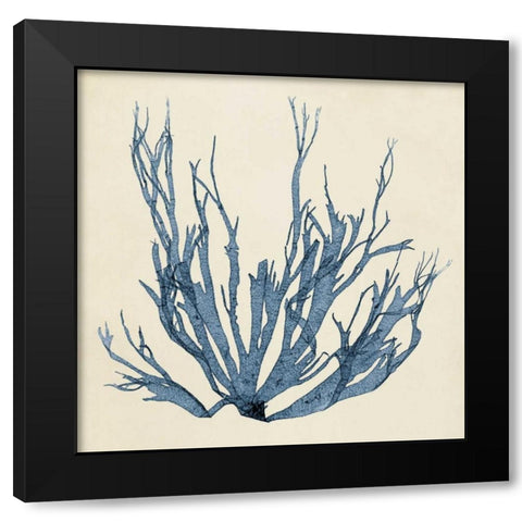 Coastal Seaweed I Black Modern Wood Framed Art Print with Double Matting by Vision Studio