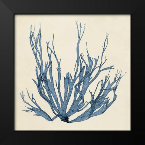 Coastal Seaweed I Black Modern Wood Framed Art Print by Vision Studio