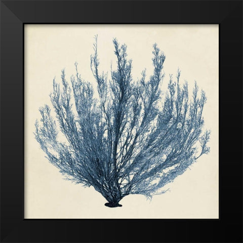 Coastal Seaweed III Black Modern Wood Framed Art Print by Vision Studio