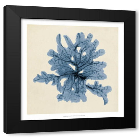 Coastal Seaweed IV Black Modern Wood Framed Art Print by Vision Studio