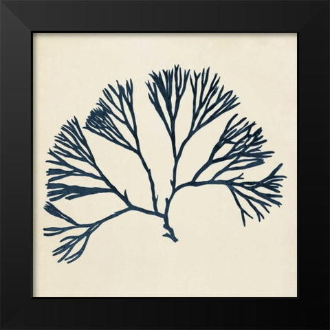 Coastal Seaweed VI Black Modern Wood Framed Art Print by Vision Studio