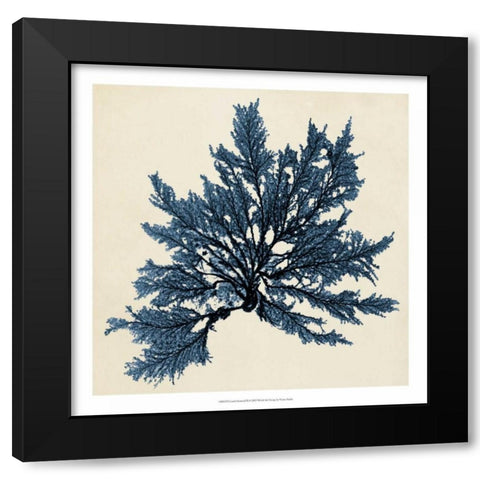 Coastal Seaweed IX Black Modern Wood Framed Art Print with Double Matting by Vision Studio