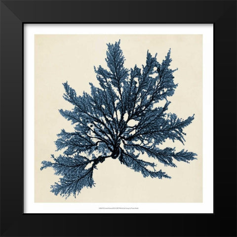 Coastal Seaweed IX Black Modern Wood Framed Art Print by Vision Studio