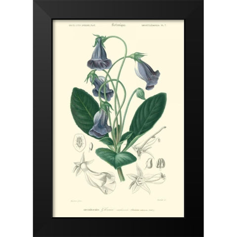 Embellished Floral Botanique I Black Modern Wood Framed Art Print by DOrbigny, N.Charles