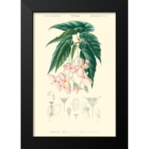 Embellished Floral Botanique III Black Modern Wood Framed Art Print by DOrbigny, N.Charles