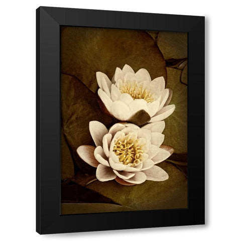Lily Pad Duo I Black Modern Wood Framed Art Print with Double Matting by Perry, Rachel