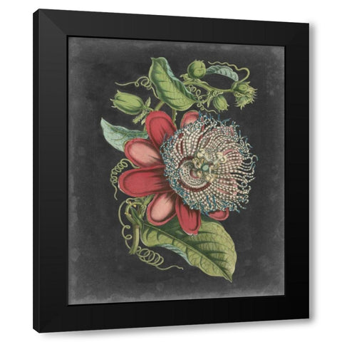 Dramatic Tropical Beauty I Black Modern Wood Framed Art Print with Double Matting by Wiek, John