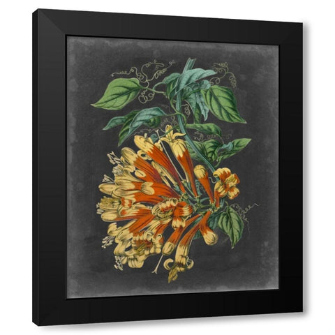 Dramatic Tropical Beauty II Black Modern Wood Framed Art Print by Wiek, John